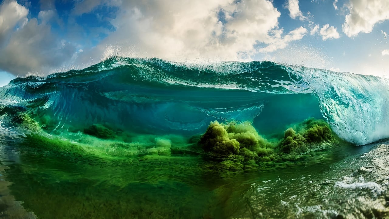 Scen från Shorebreak: The Clark Little Story