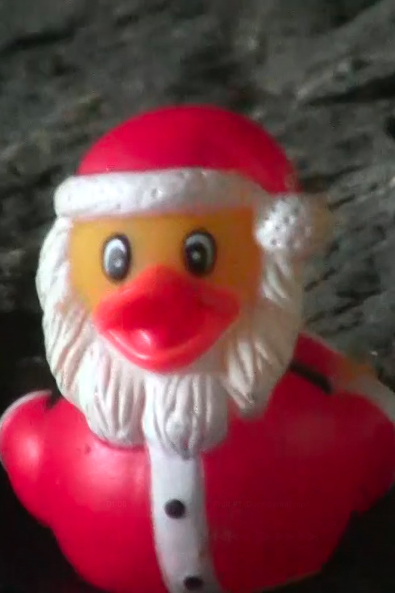Duck Santa 2025
