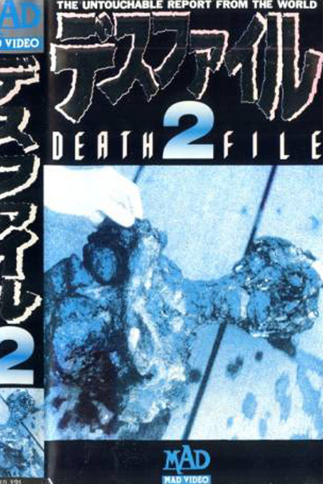 Death File 2 poster
