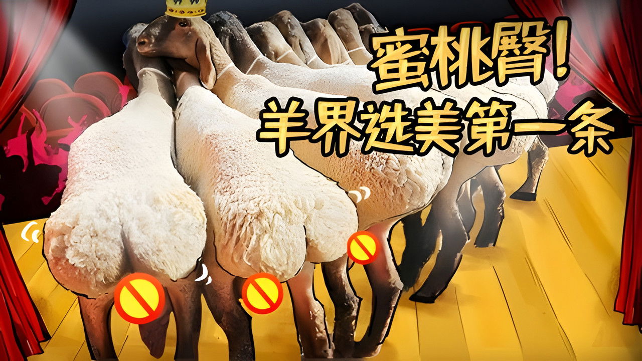 X Fun吃货俱乐部 — Épisode 48