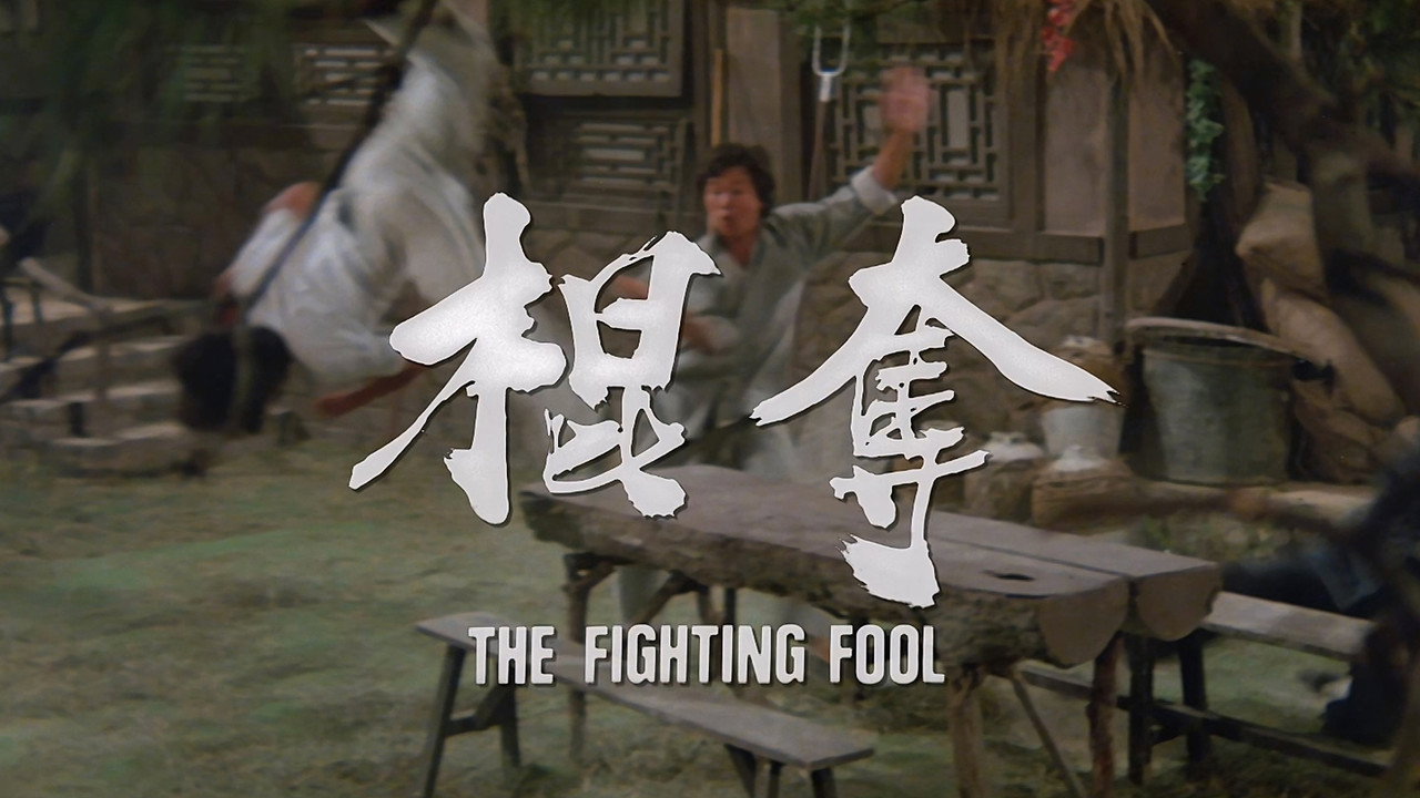 The Fighting Fool