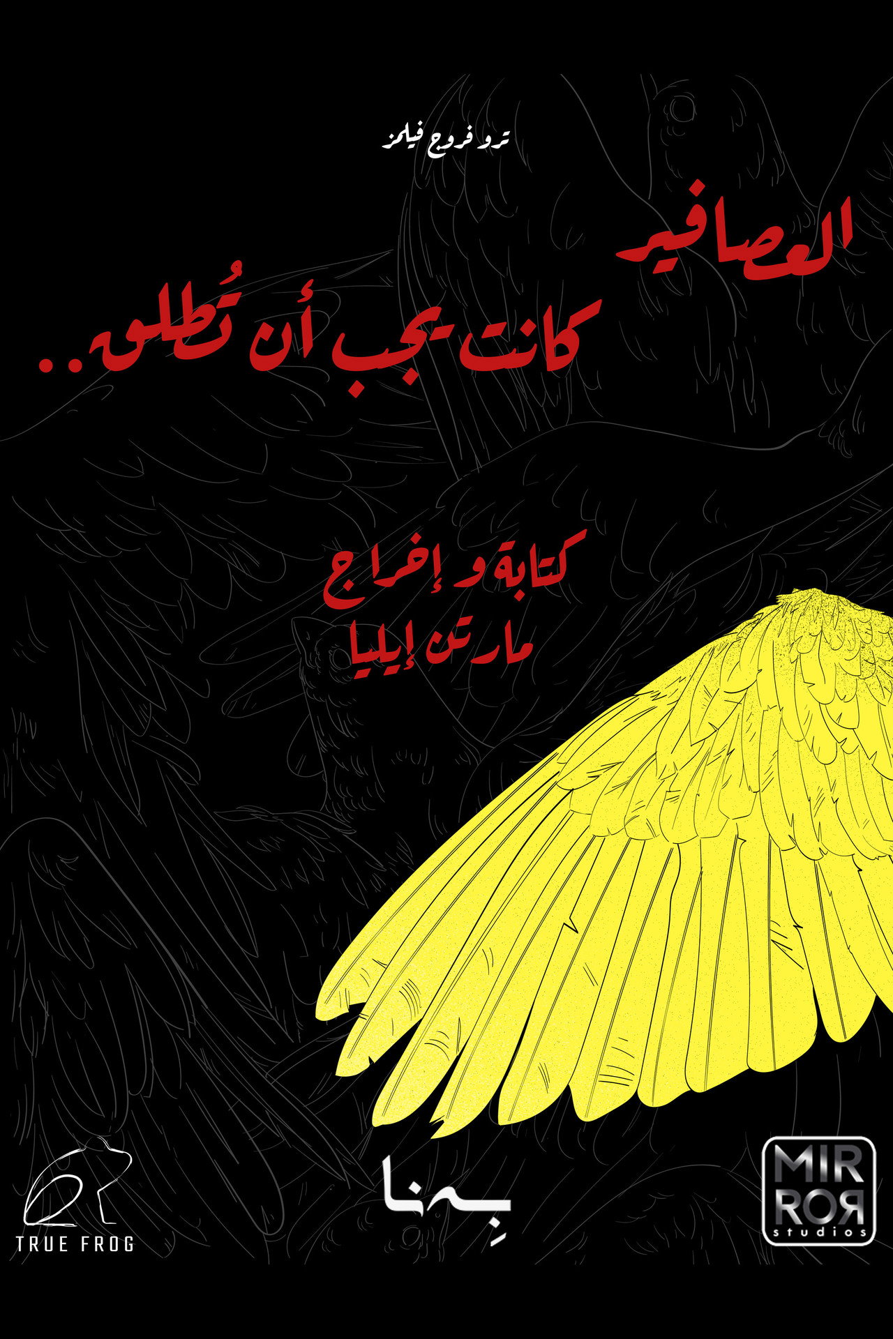 العصافير كانت يجب أن تُطلق