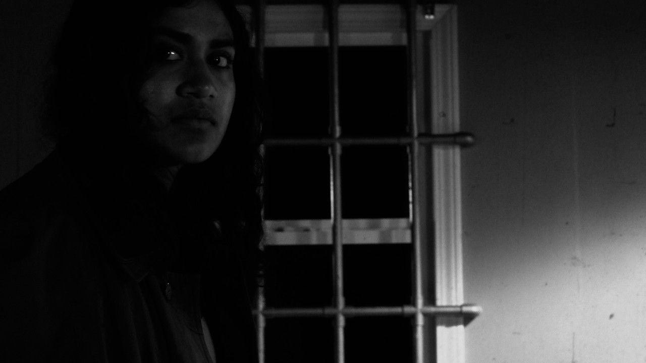 The Regular backdrop