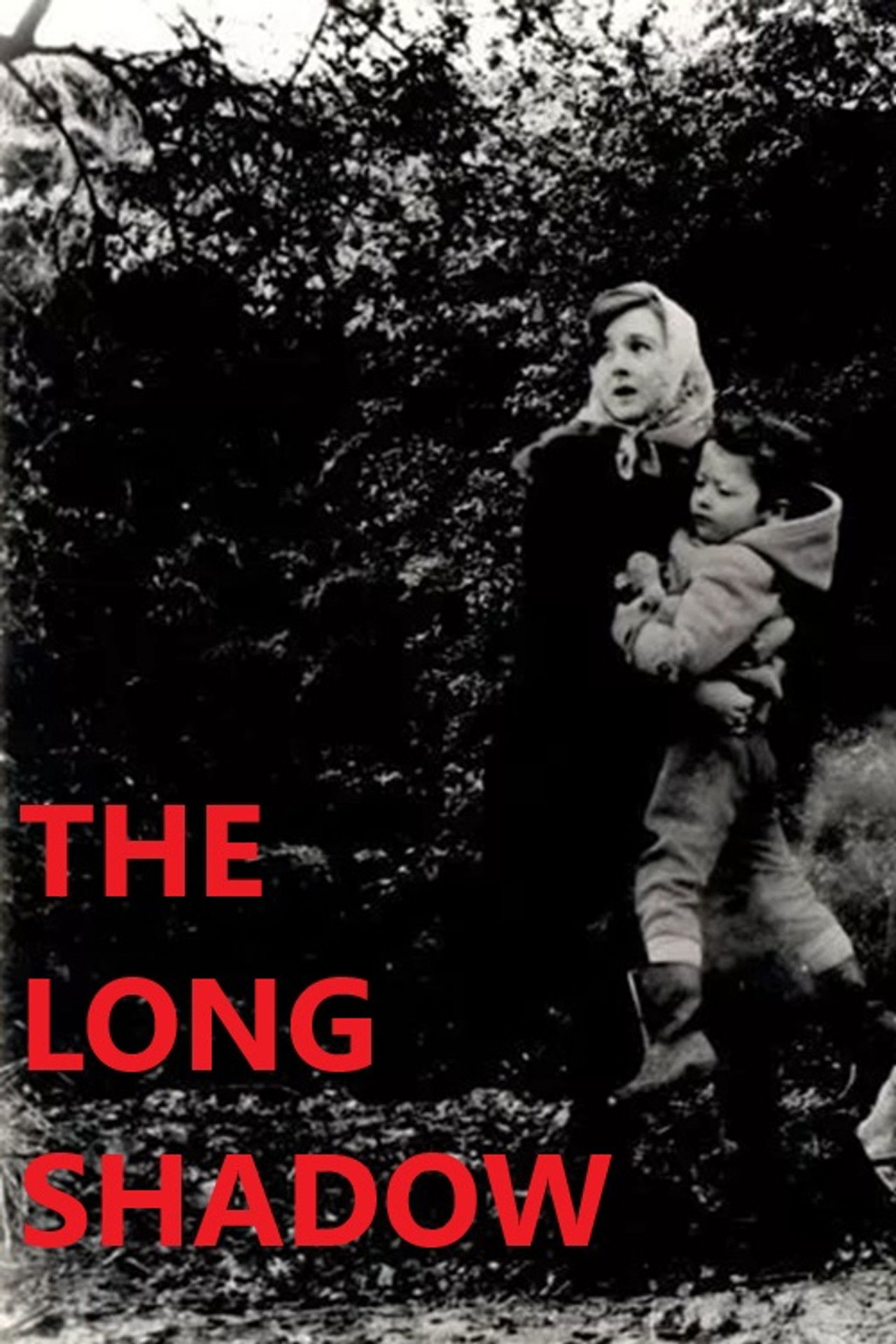 The Long Shadow Backdrop