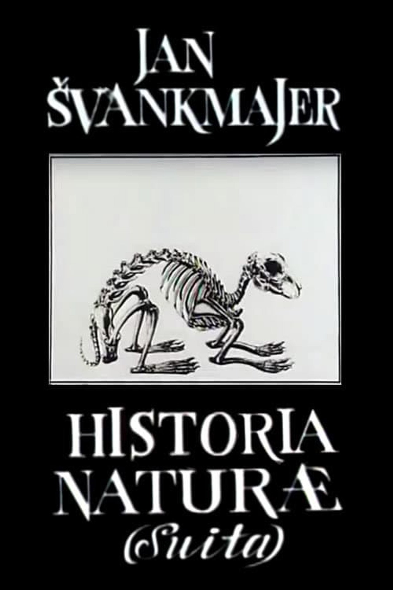 Historia Naturae (suita) filmaffisch
