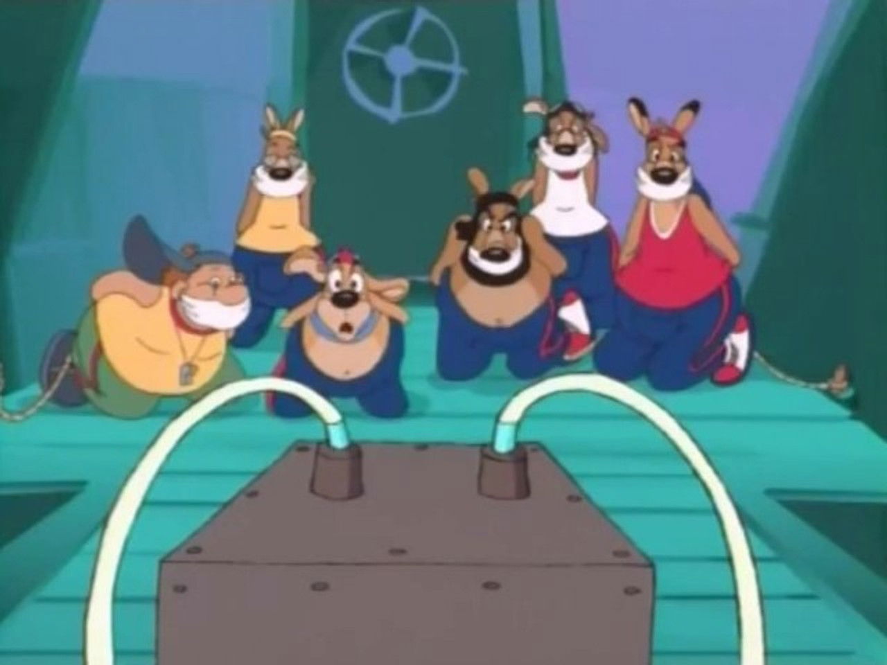 Kangoo — Mister D a disparu