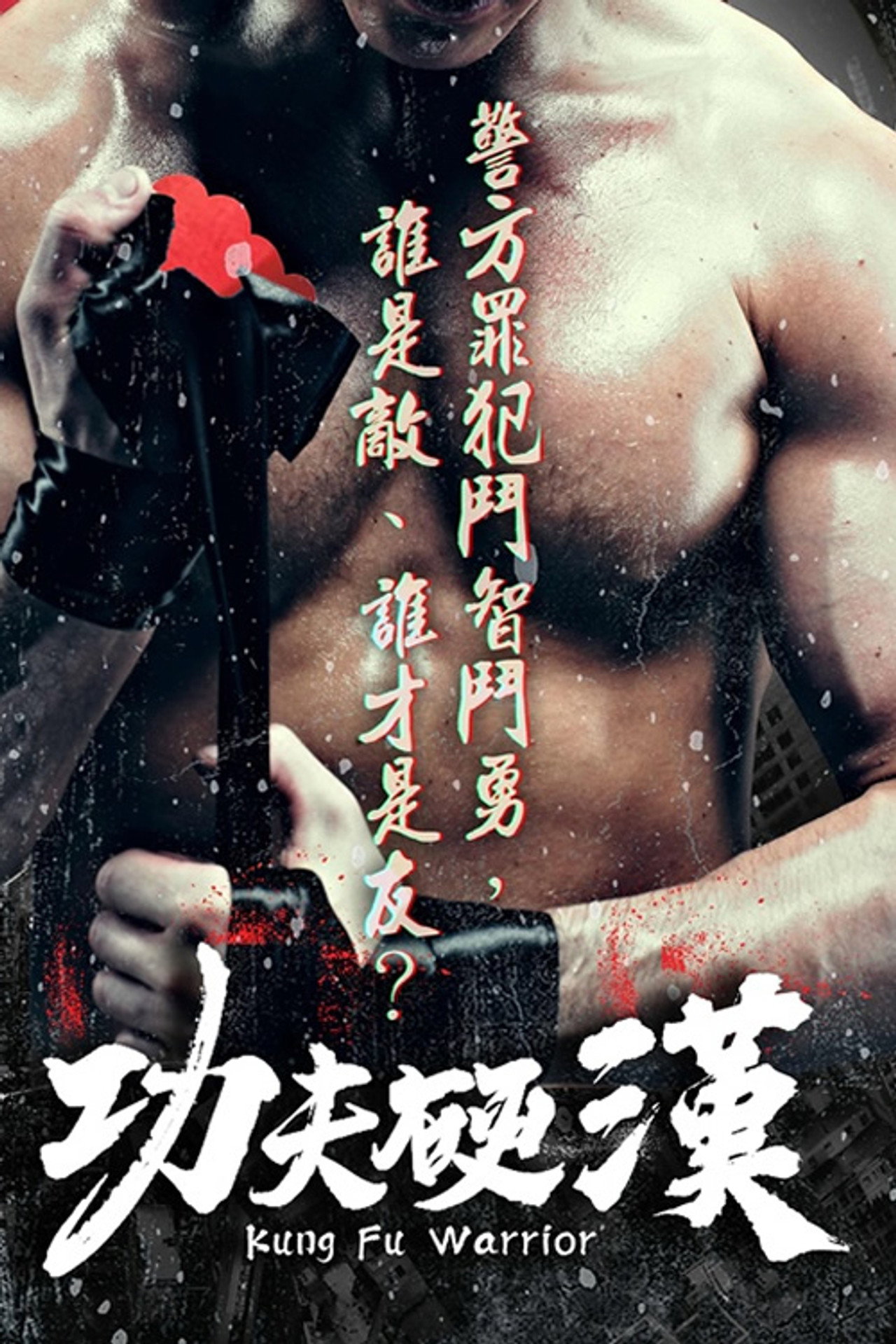 Kung Fu Warrior