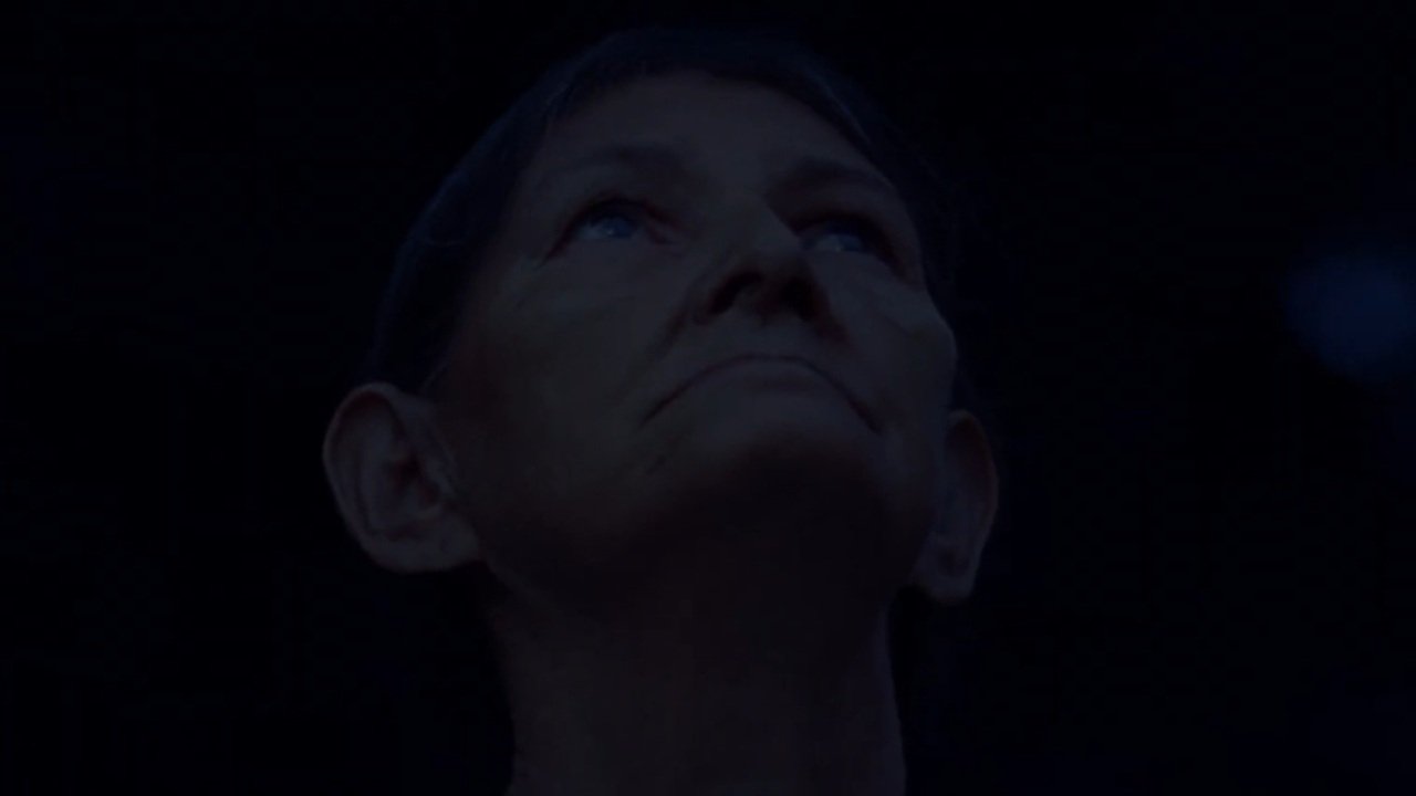 Our Own Shadow