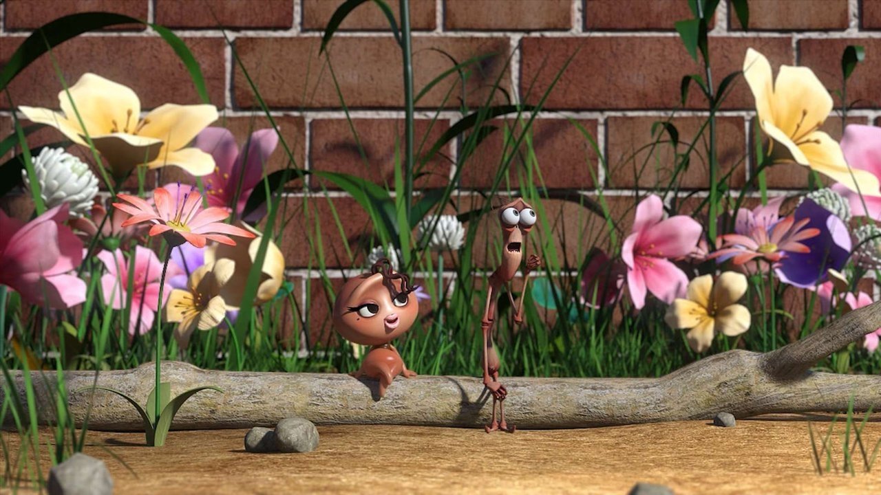 Larva - Season 3 Episode 81 : Pitapat (1)