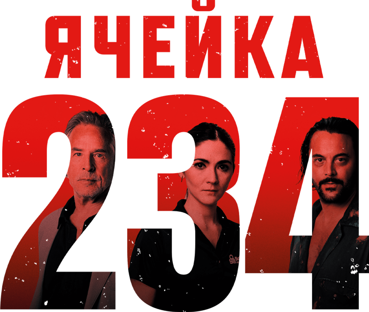 Ячейка 234