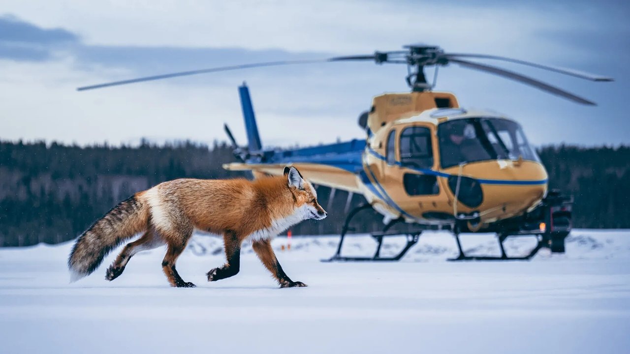 The Nature of Things - Season 60 Episode 10 : Making Wild Canadian Weather