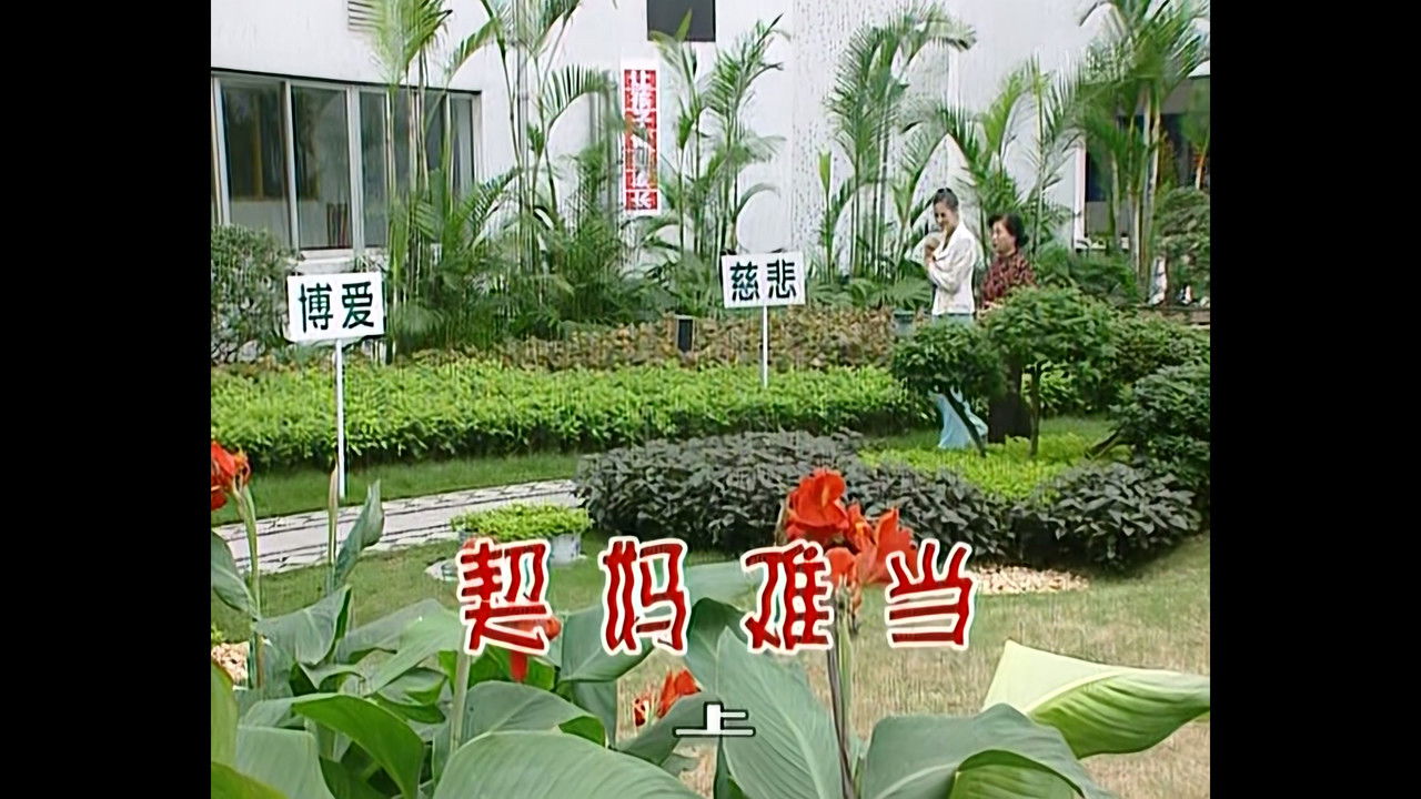 外来媳妇本地郎 — Épisode 533