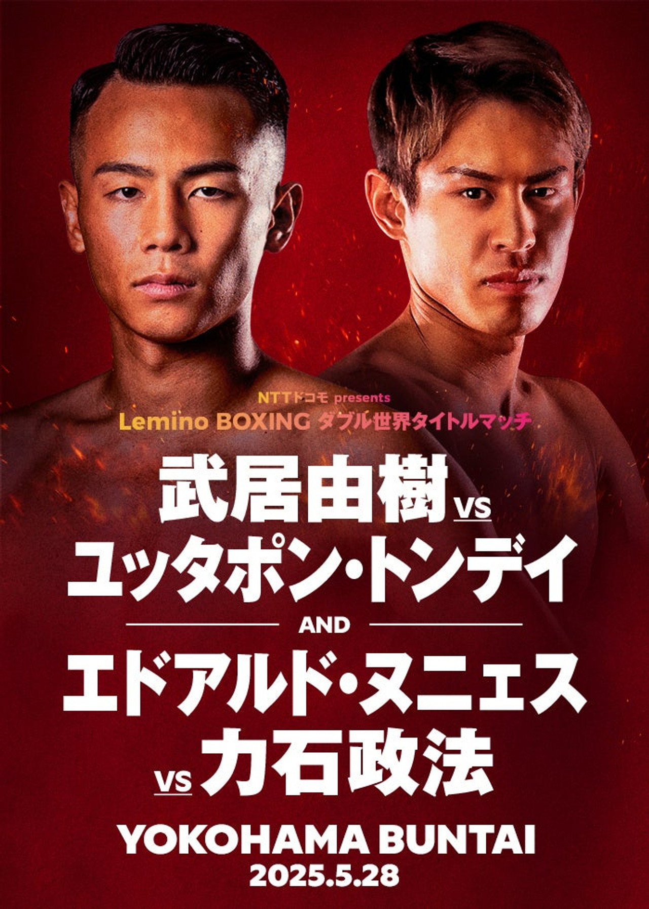 Lemino BOXING ダブル世界タイトルマッチ filmaffisch