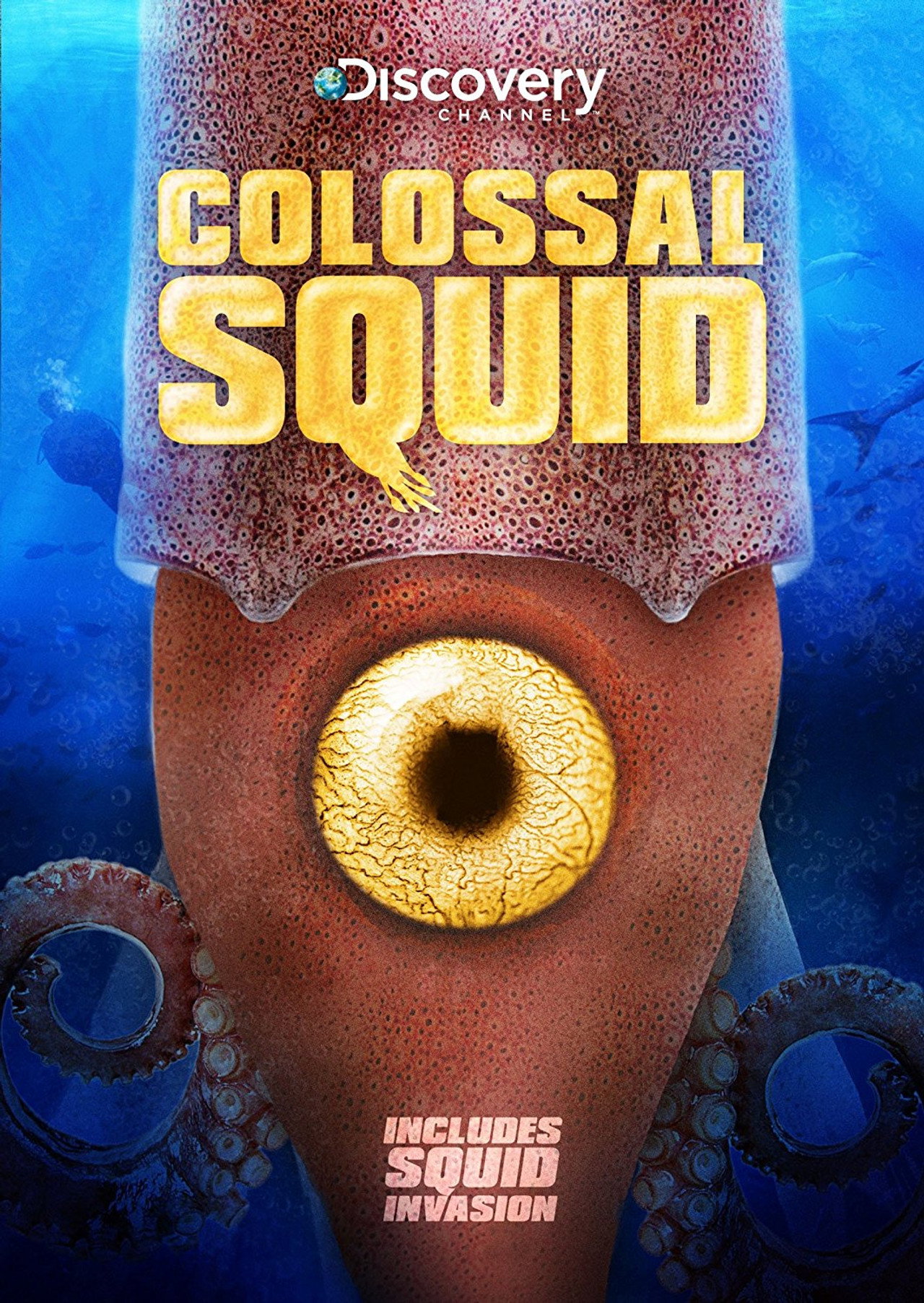 Colossal Squid Backdrop