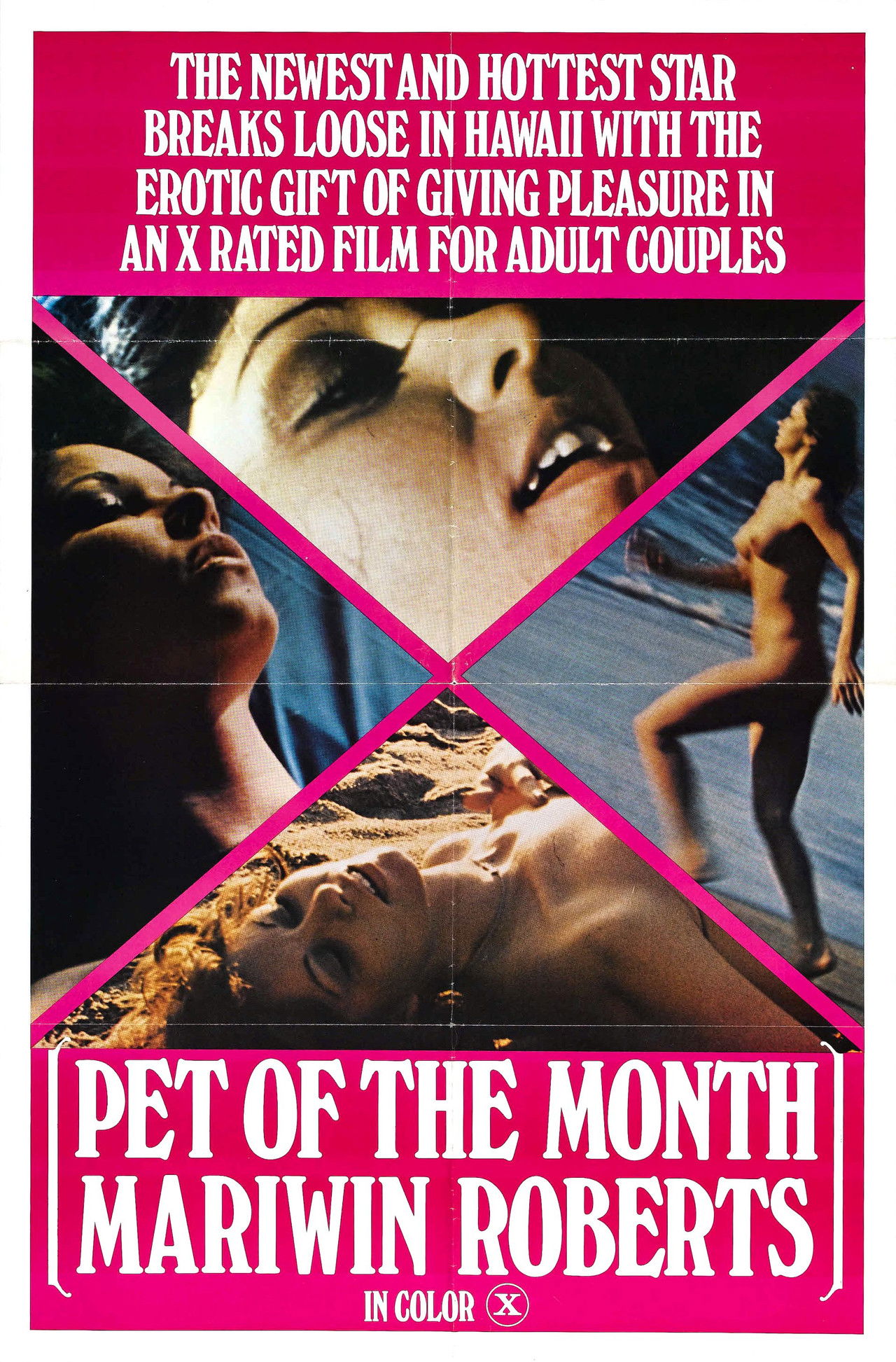 Pet of the Month: Mariwin Roberts Backdrop