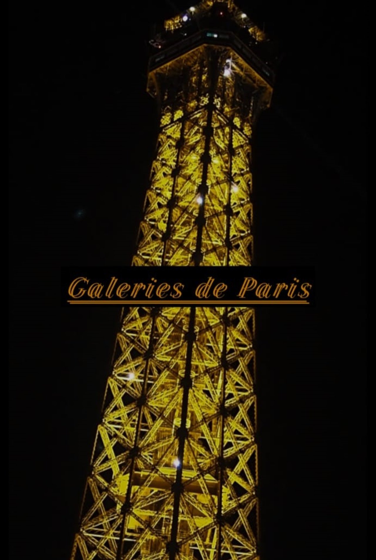 Galeries de Paris poster