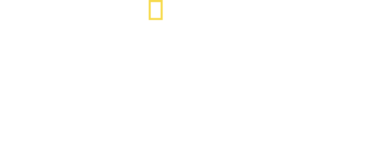 Hitler the Junkie
