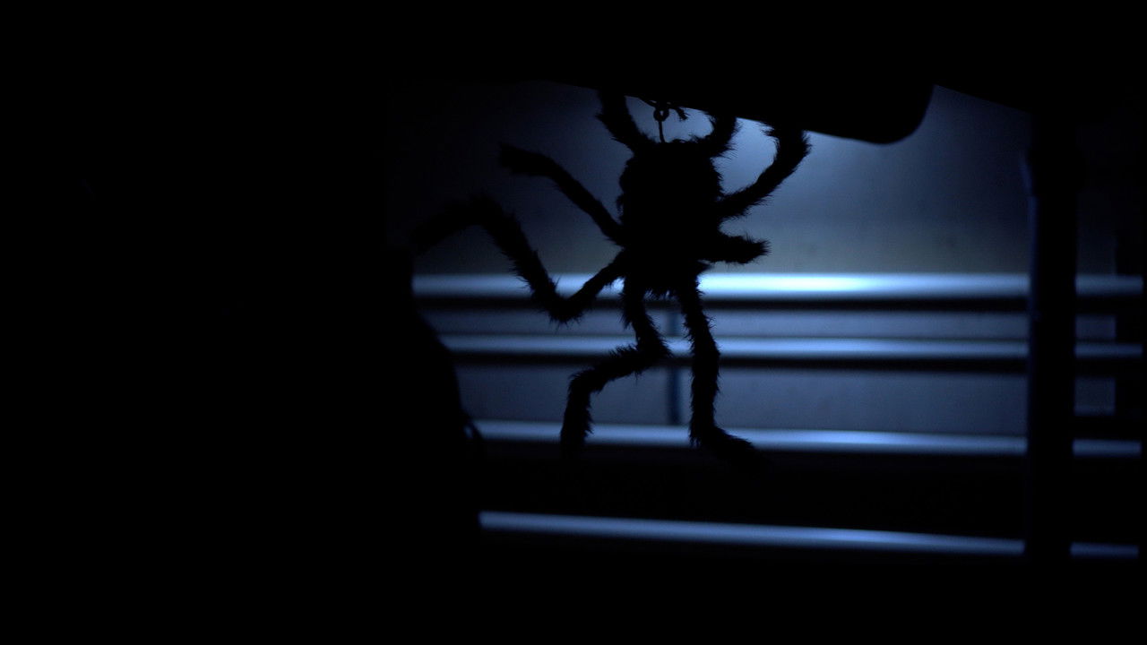 Night at the Cinema backdrop