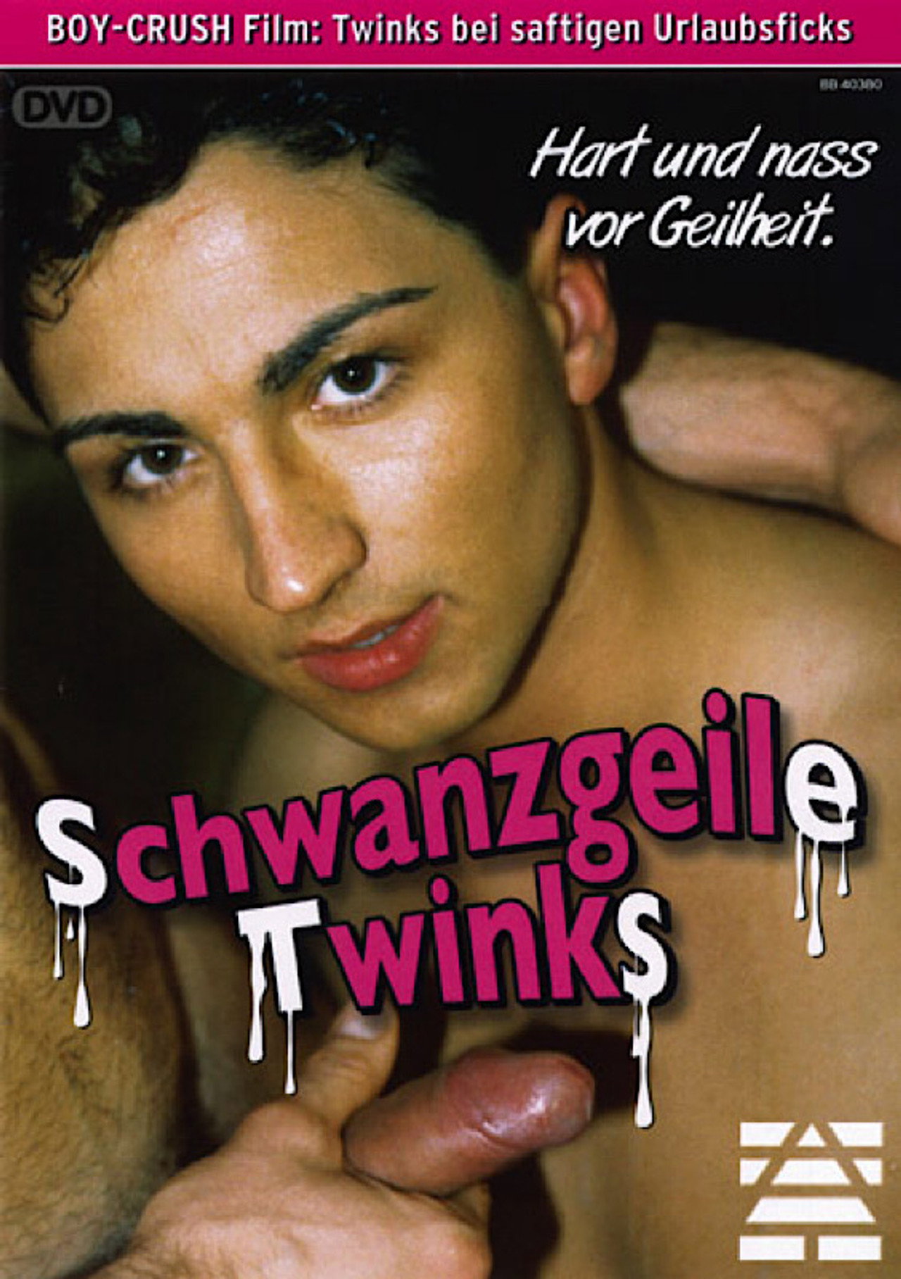Schwanzgeile Twinks filmaffisch