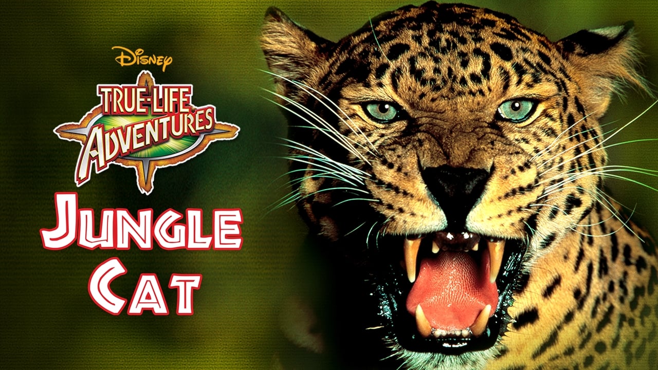 Jungle Cat background