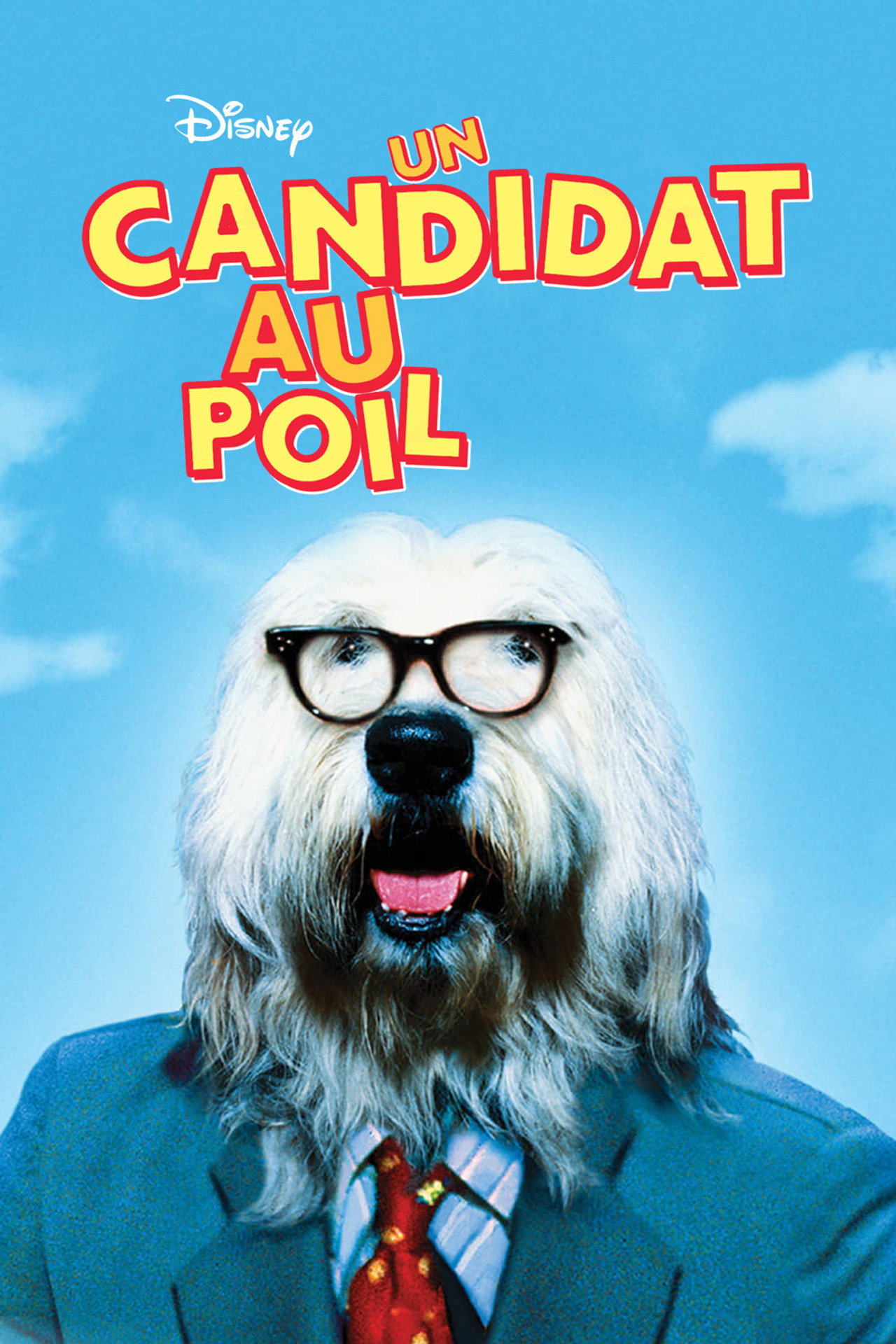 Un candidat au poil