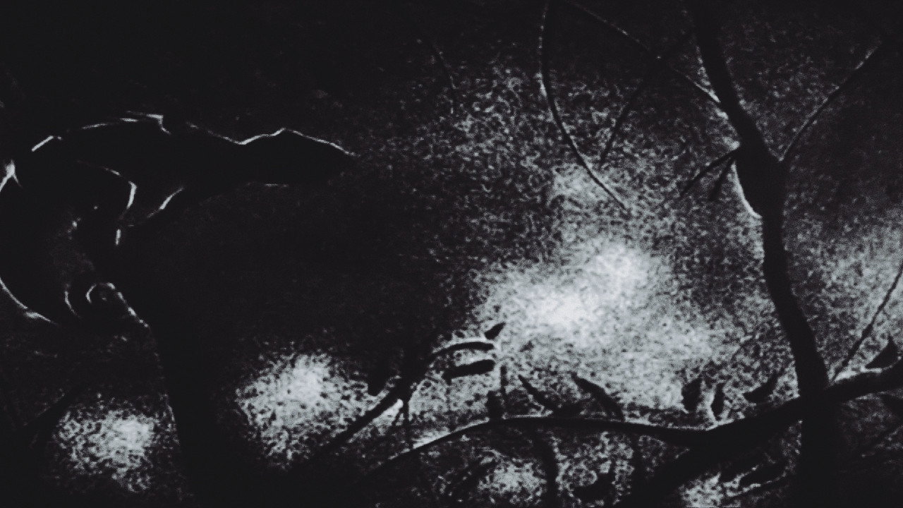 Interior still 2