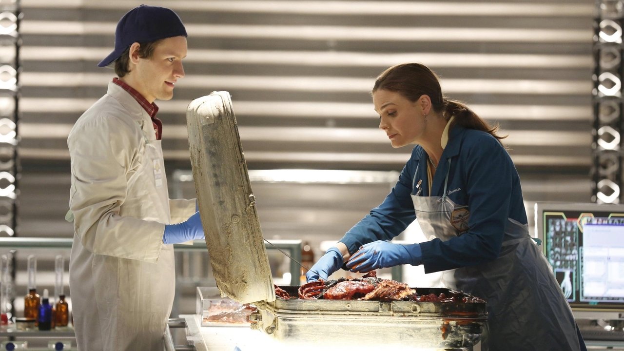 Bones - Season 8 Episode 16 : The Friend in Need