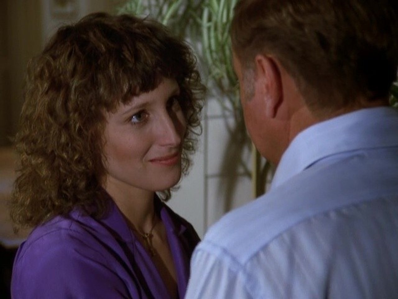 Eight Is Enough - Season 4 Episode 5 : The Night They Raided Bradfords