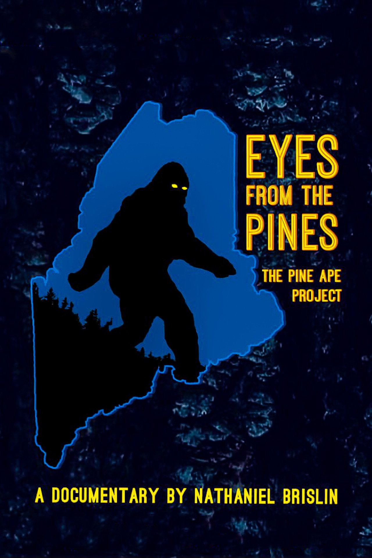 Eyes from the Pines filmaffisch