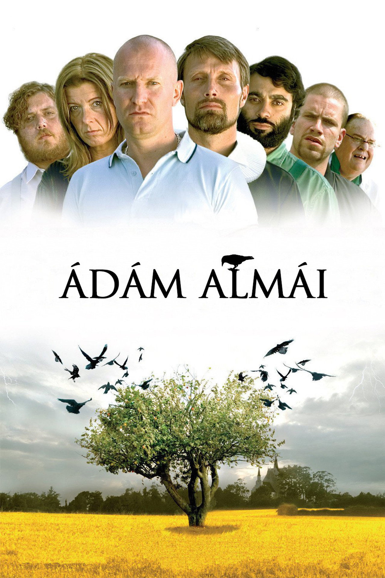 posters 13
