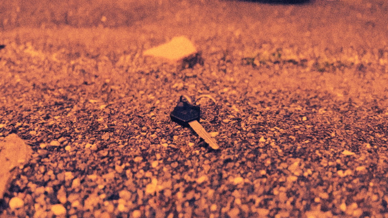 Visitor