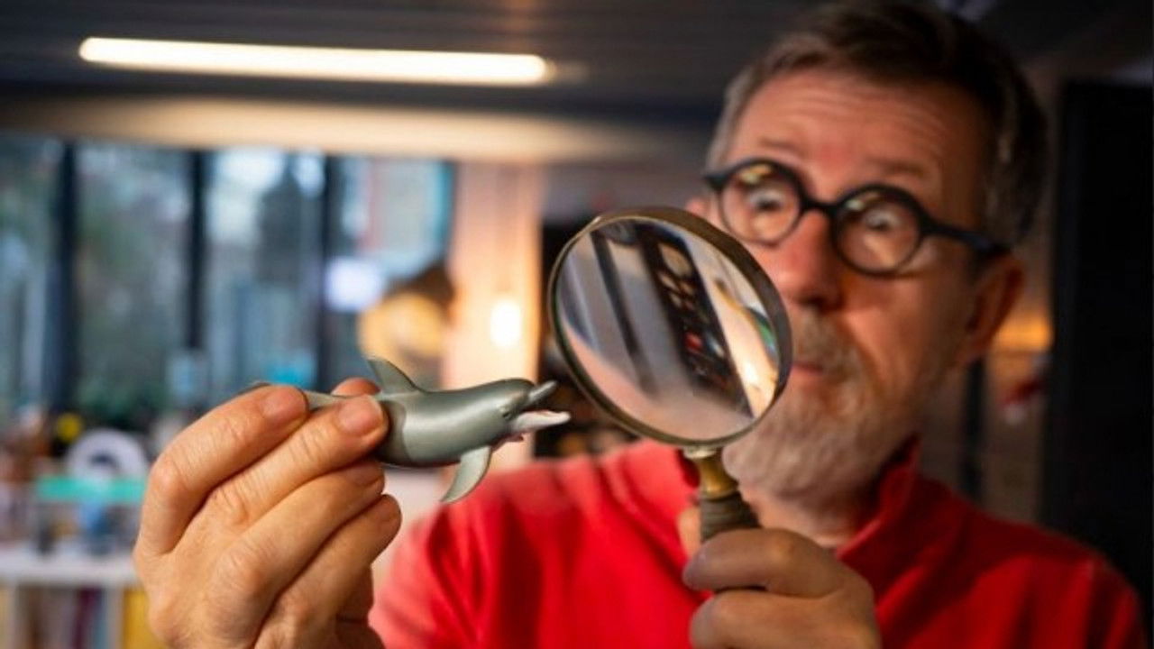 C Jamy — Dauphins : pourquoi nous fascinent-t-ils ?