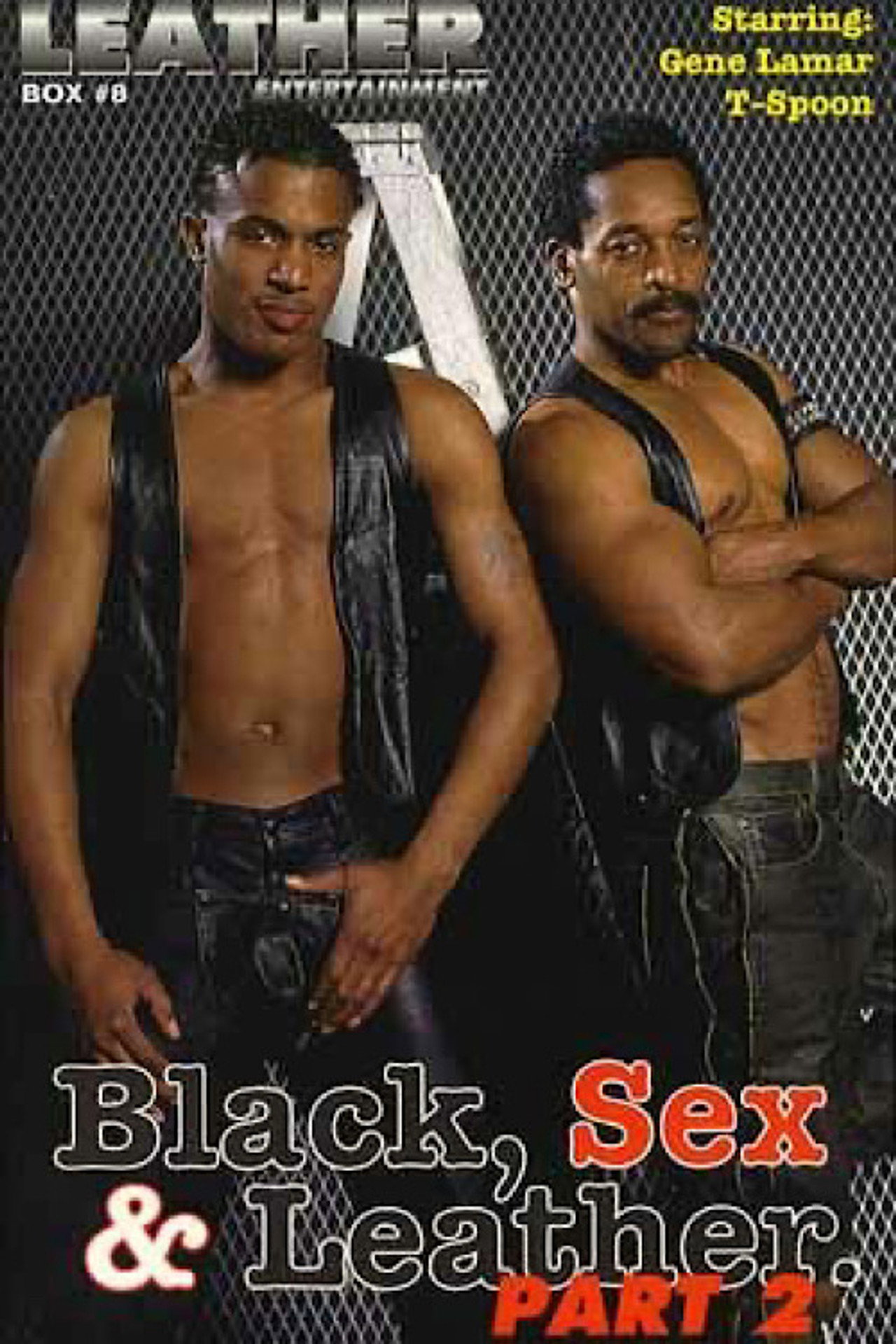Black, Sex & Leather 2 filmaffisch