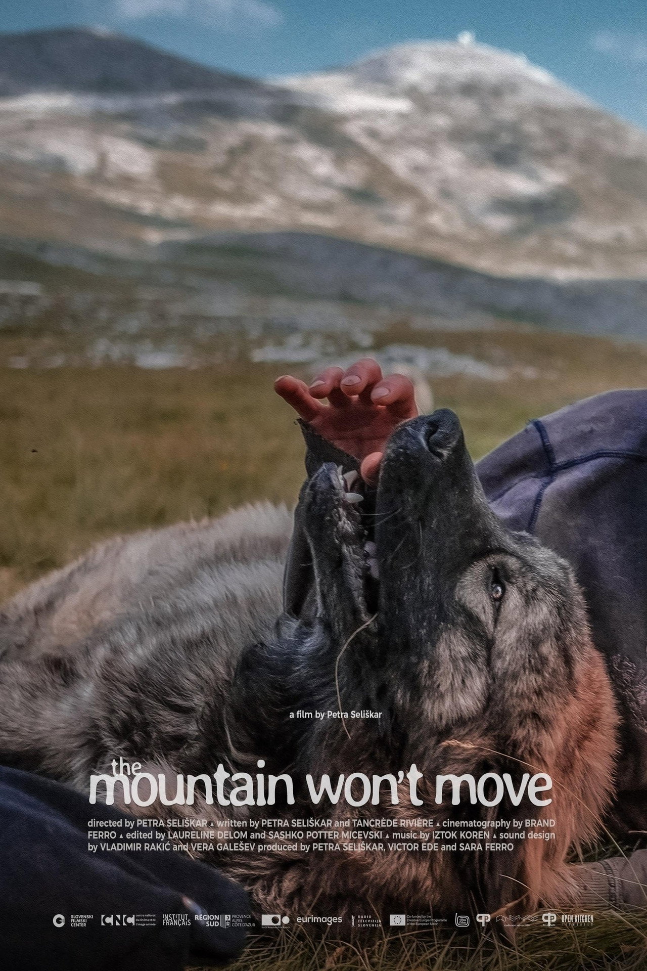 The Mountain Won’t Move