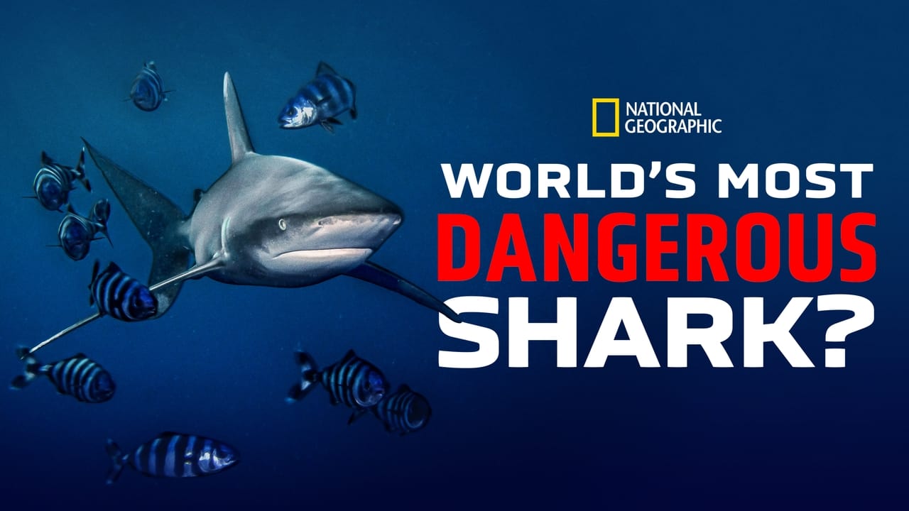 World's Most Dangerous Shark? background