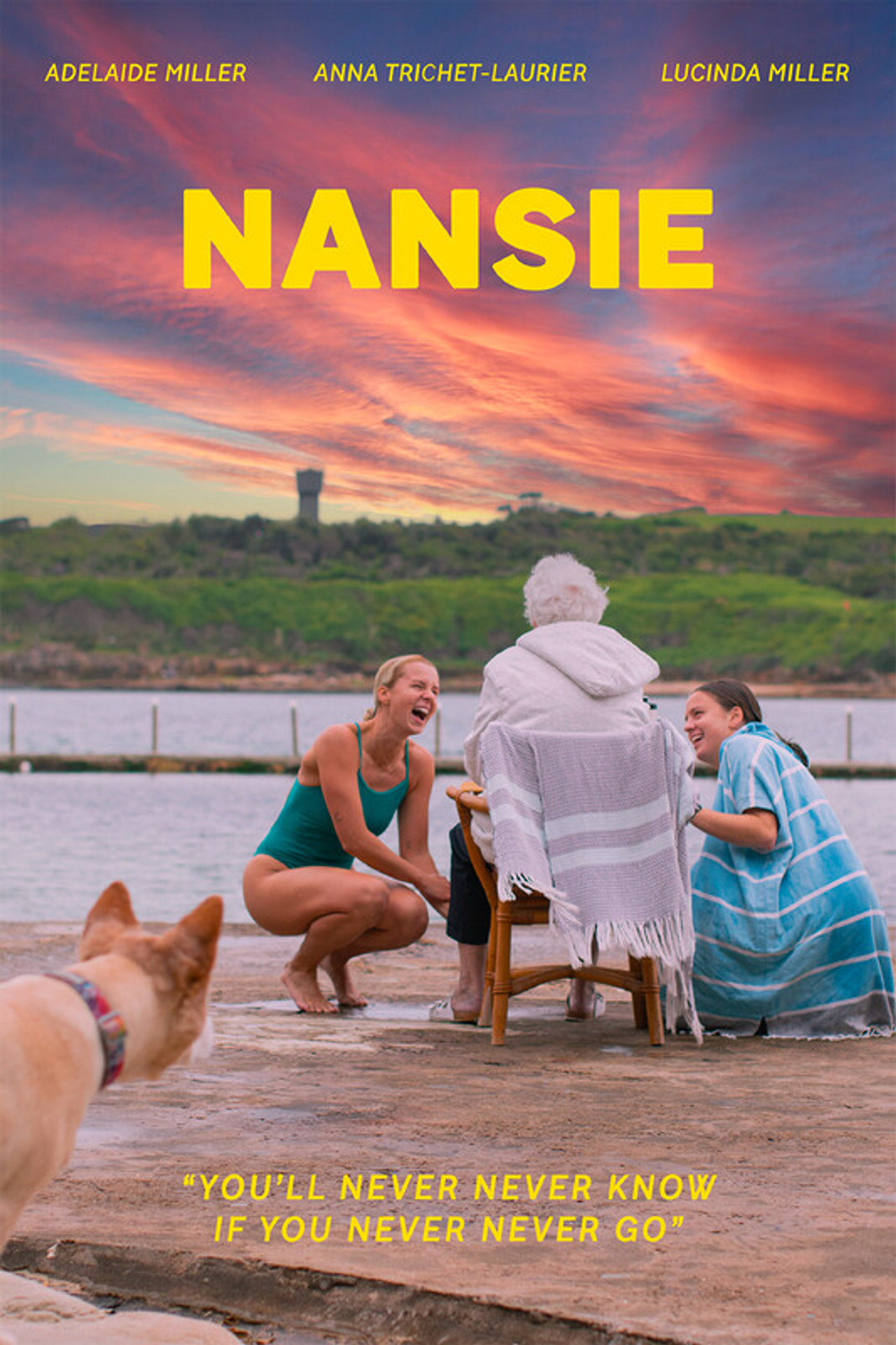 Drága Nansie nagyink – plakát 3