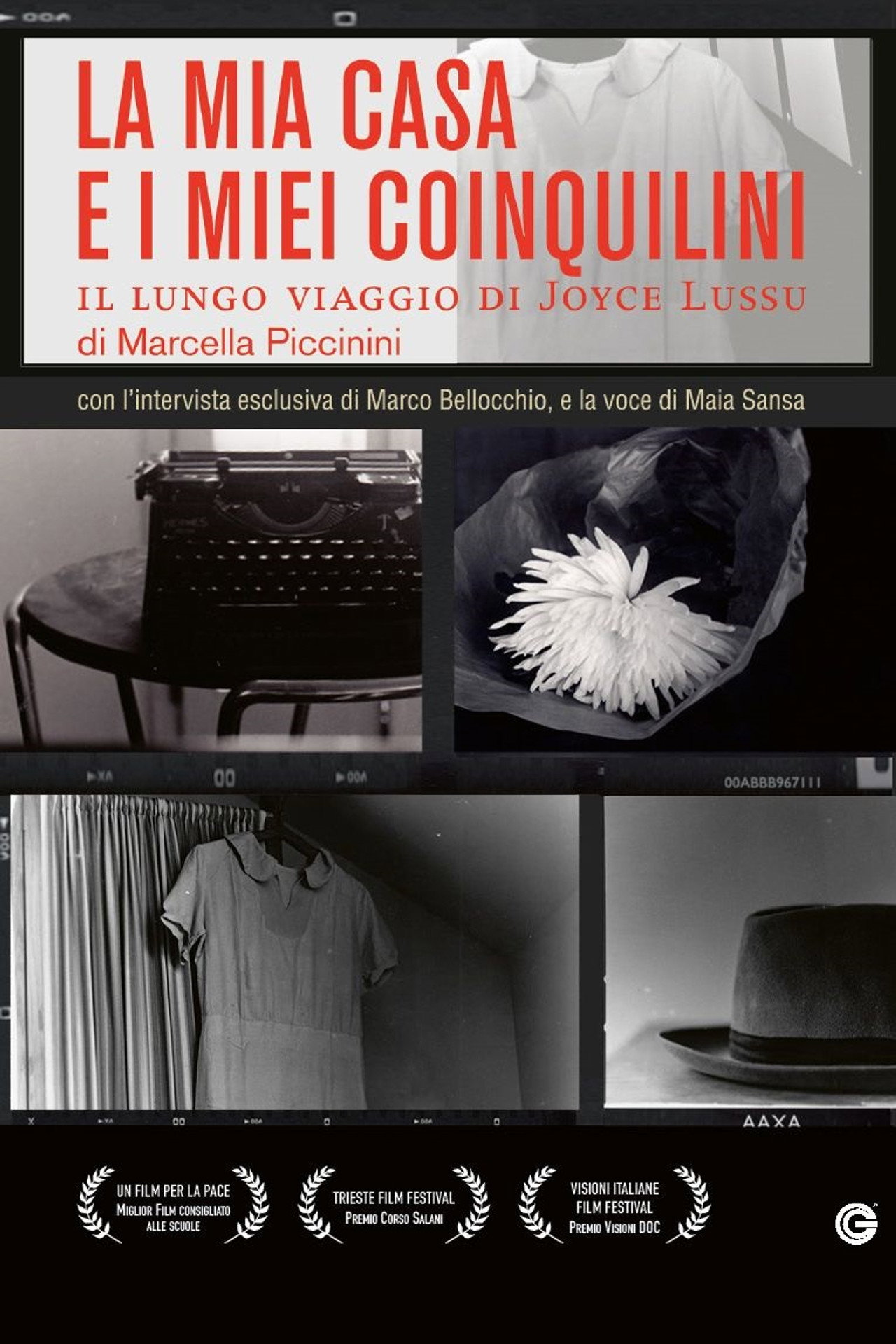 La mia casa e i miei coinquilini - Il lungo viaggio di Joyce Lussu filmaffisch