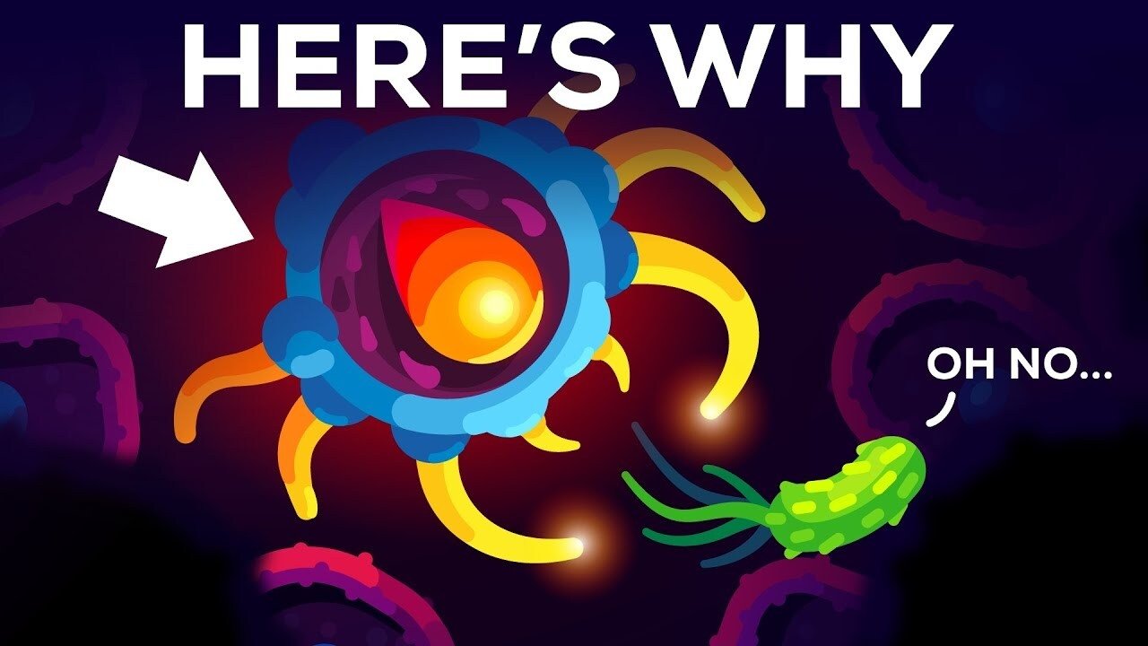 Kurzgesagt - In a Nutshell - Season 9 Episode 14 : You Are Immune Against Every Disease
