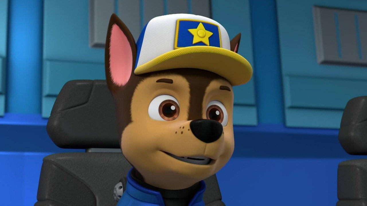 PAW Patrol 9. Sezon 8. Bölüm