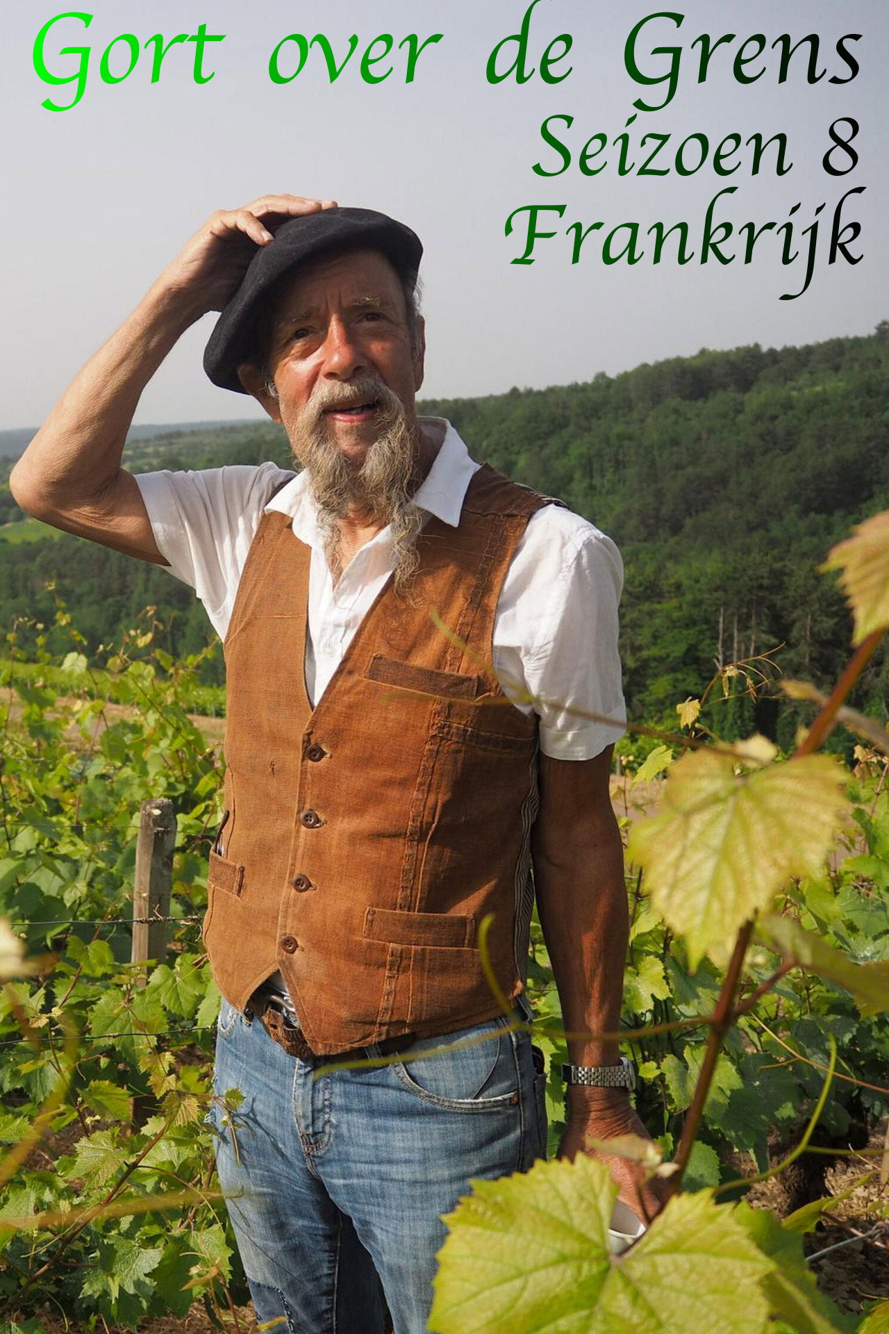 Säsong 8