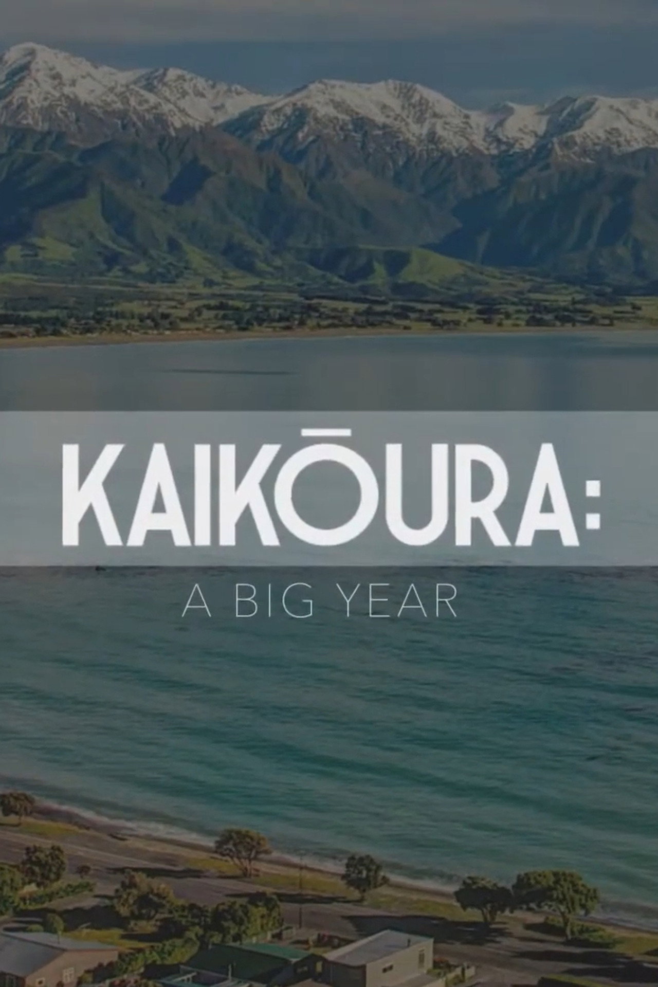 Kaikōura: A Big Year poster