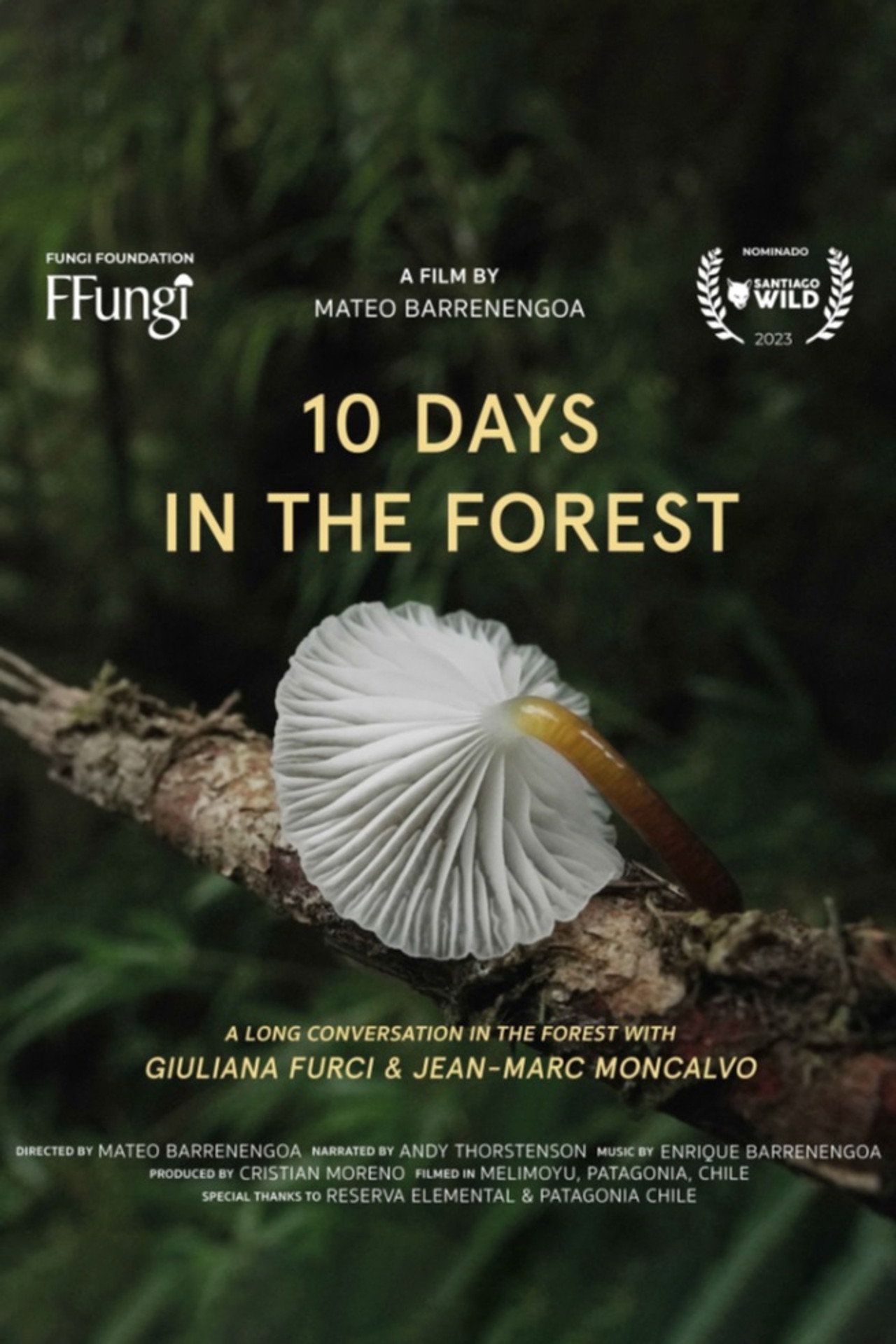 10 Days in the Forest Backdrop