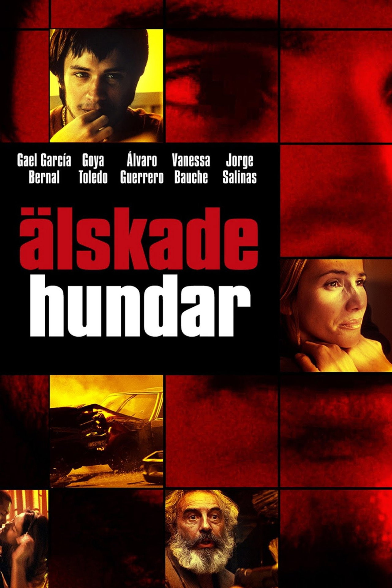 Älskade hundar filmaffisch
