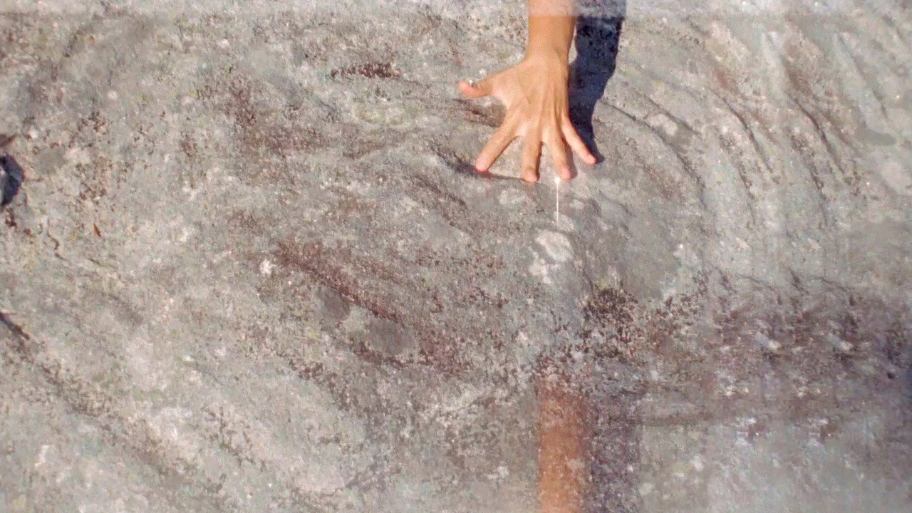 Metamorphosis' Chantings or That Time When I Incarnated as Porpoise still 2