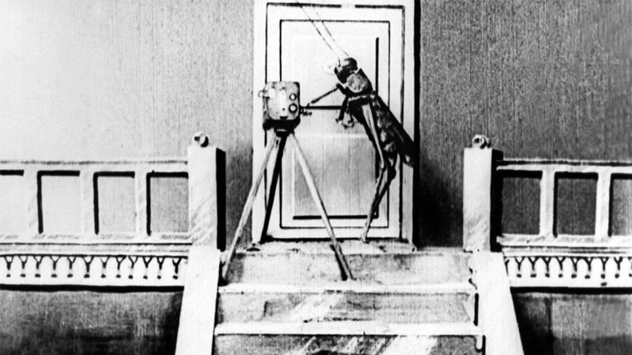 La Vengeance du ciné-opérateur