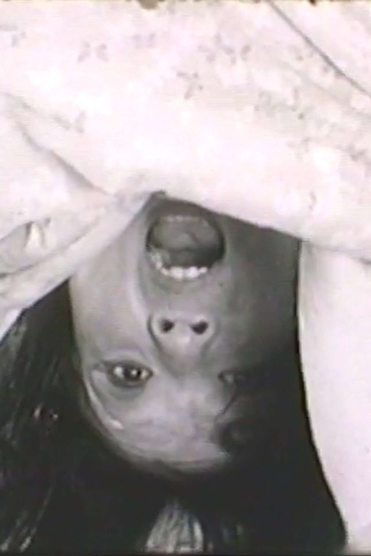 ちょっと木の下で。。。 filmaffisch
