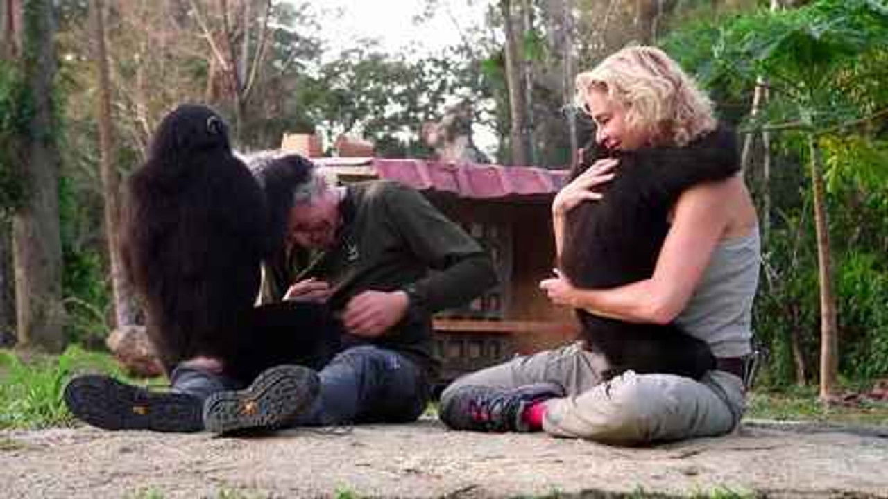 Planeta Calleja — Épisode 6