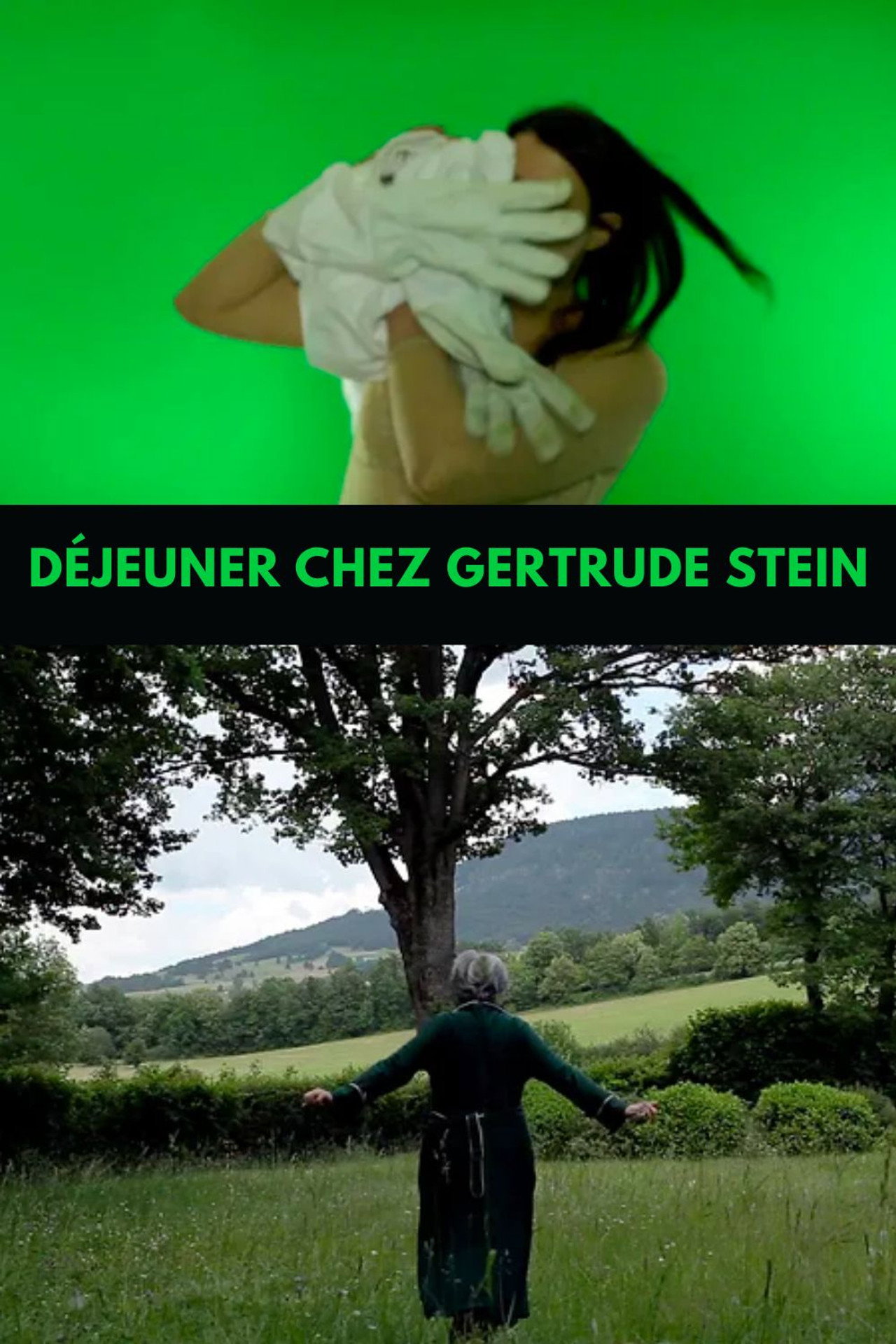 Déjeuner chez Gertrude Stein filmaffisch