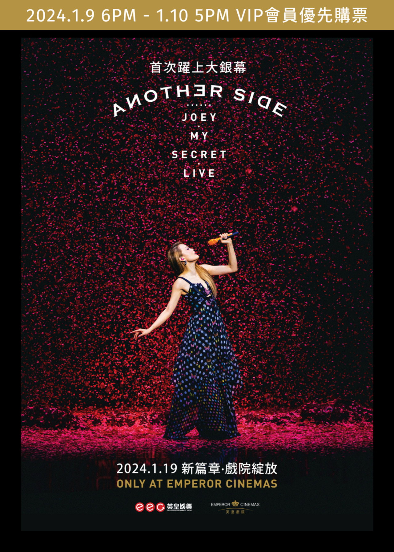 容祖儿 Another Side Joey My Secret Live 演唱会 poster