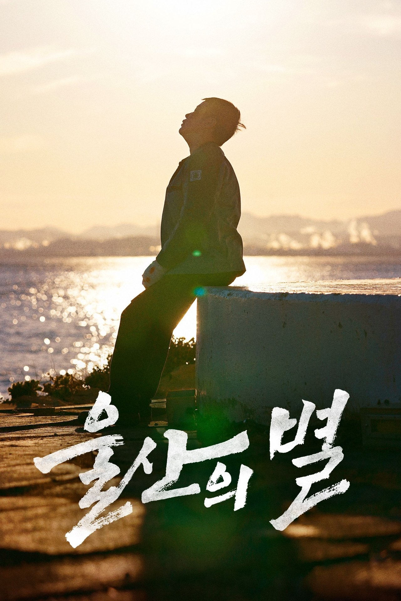 울산의 별 poster